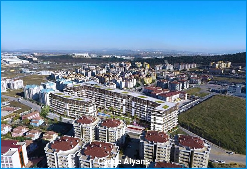 Cadde Alyans 2