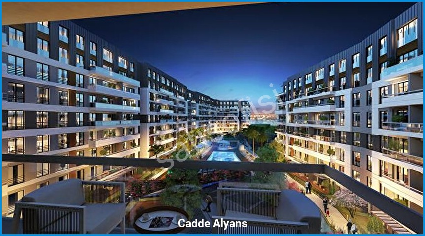 Cadde Alyans 3