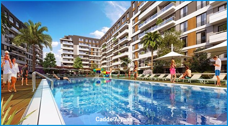 Cadde Alyans 4