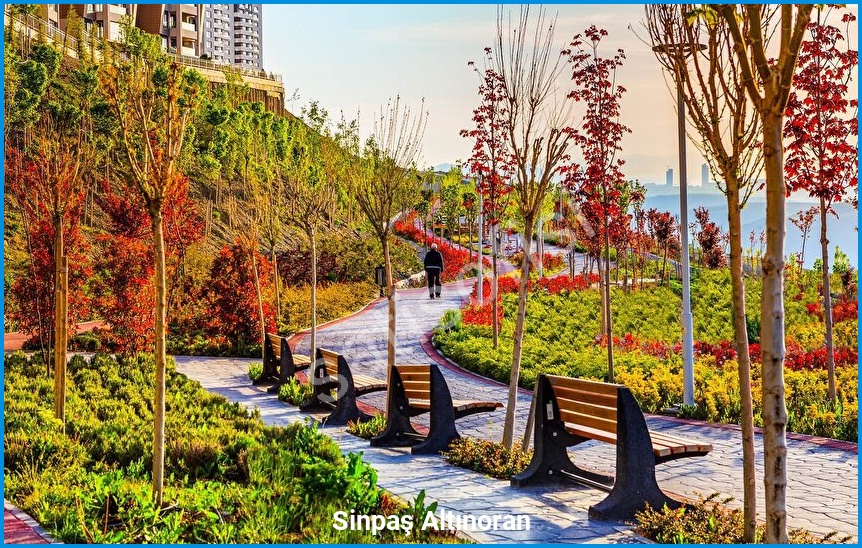 Sinpaş Altınoran 19