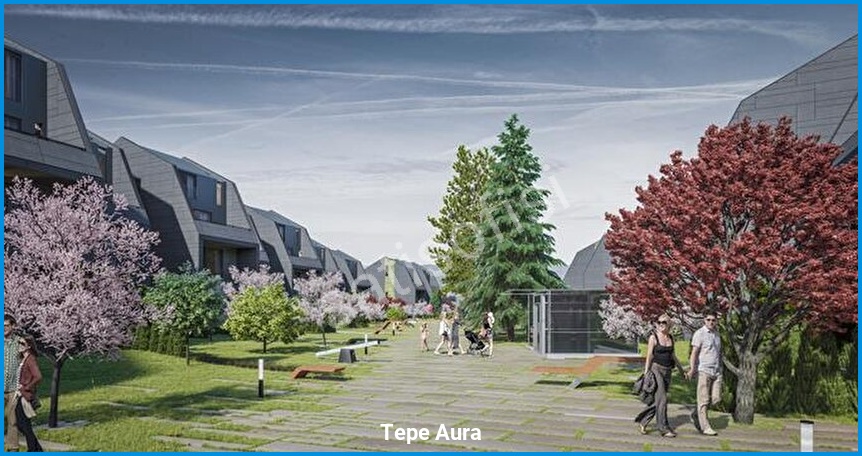 Tepe Aura görsel 3