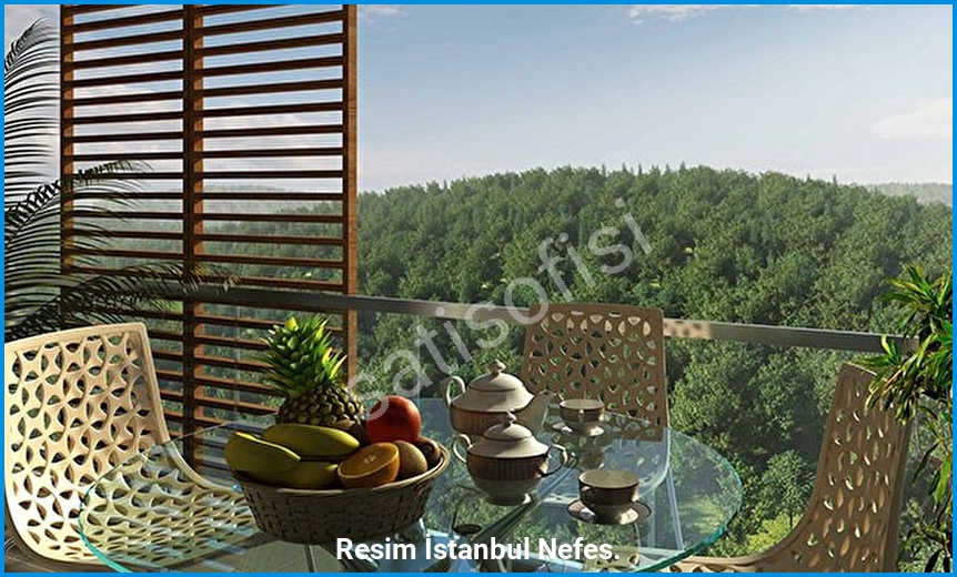 Resim İstanbul Nefes. görsel 9