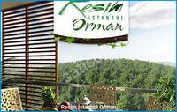 Resim İstanbul Orman