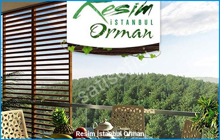 Resim İstanbul Orman 2