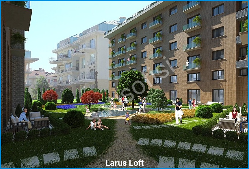 Larus Loft 3