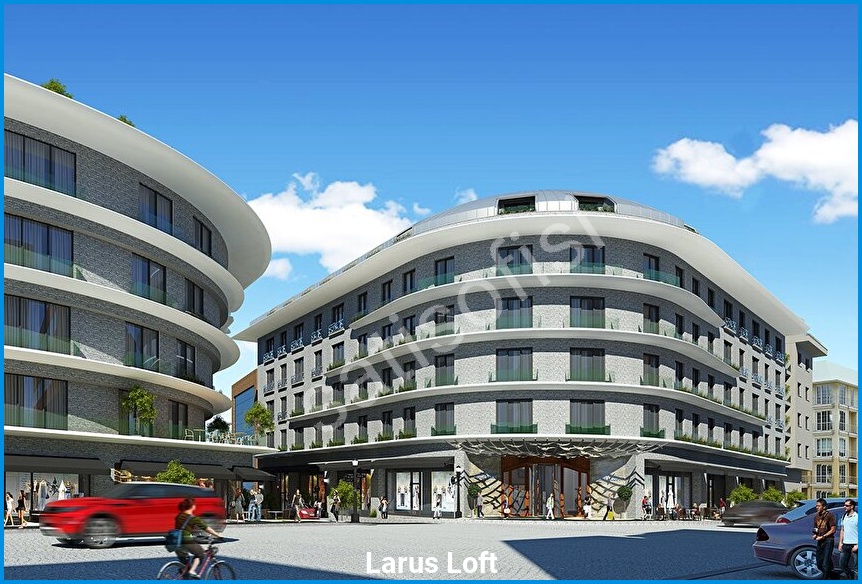 Larus Loft 6