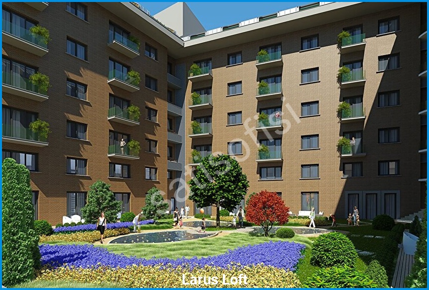 Larus Loft 7