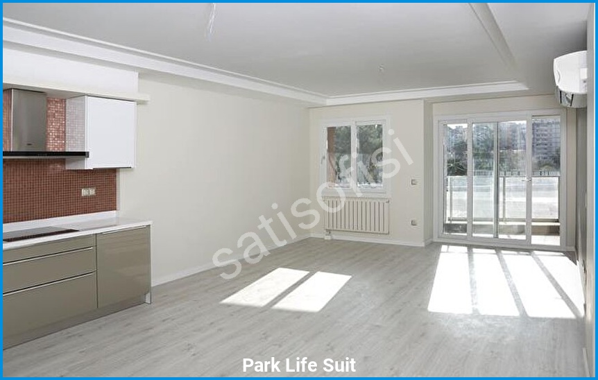 Park Life Suit 4