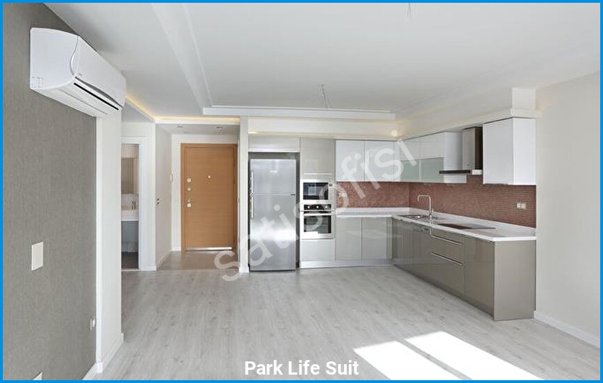 Park Life Suit 5