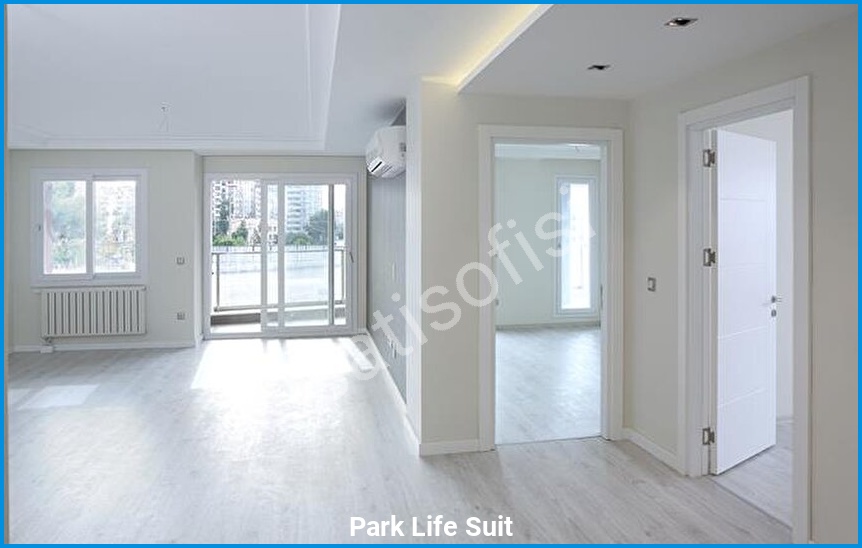 Park Life Suit 6