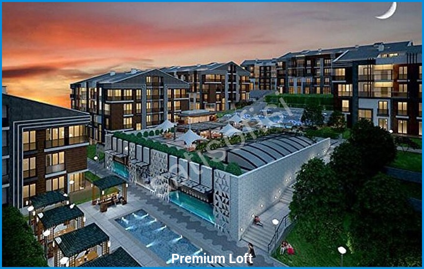 Premium Loft 4