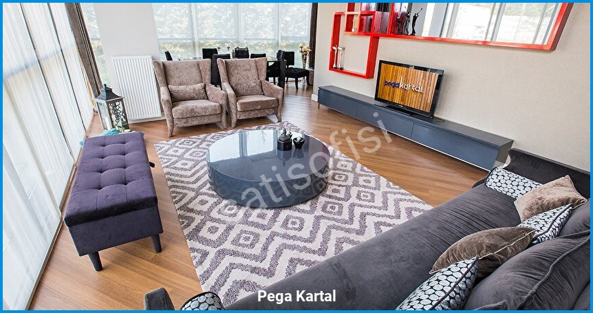 Pega Kartal görsel 10
