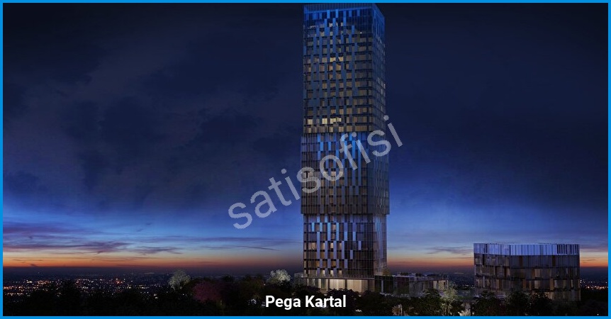 Pega Kartal görsel 2