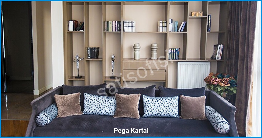 Pega Kartal görsel 3