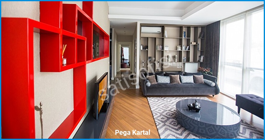 Pega Kartal görsel 5