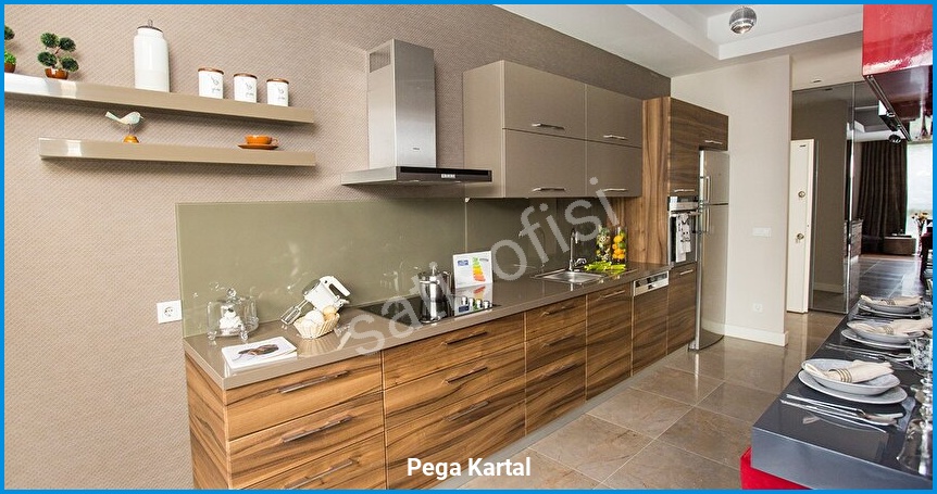 Pega Kartal görsel 6
