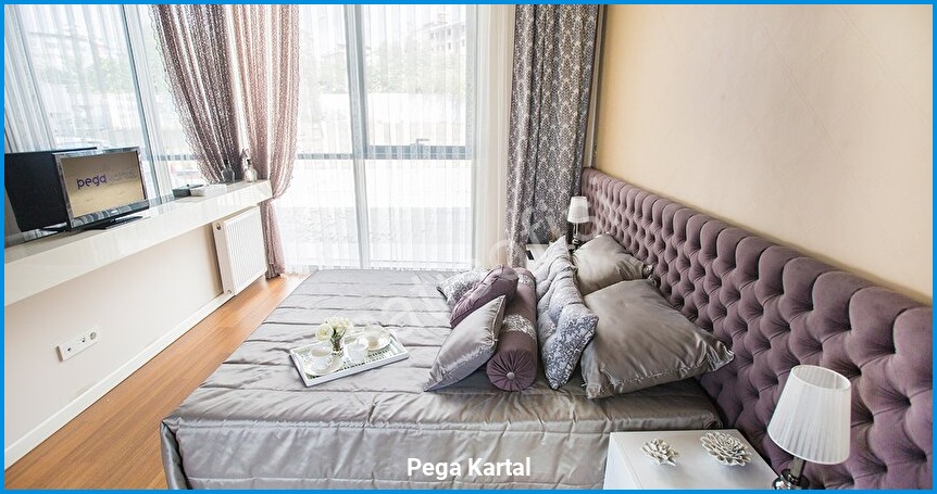 Pega Kartal görsel 9