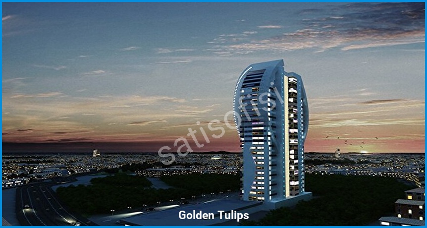 Golden Tulips görsel 4