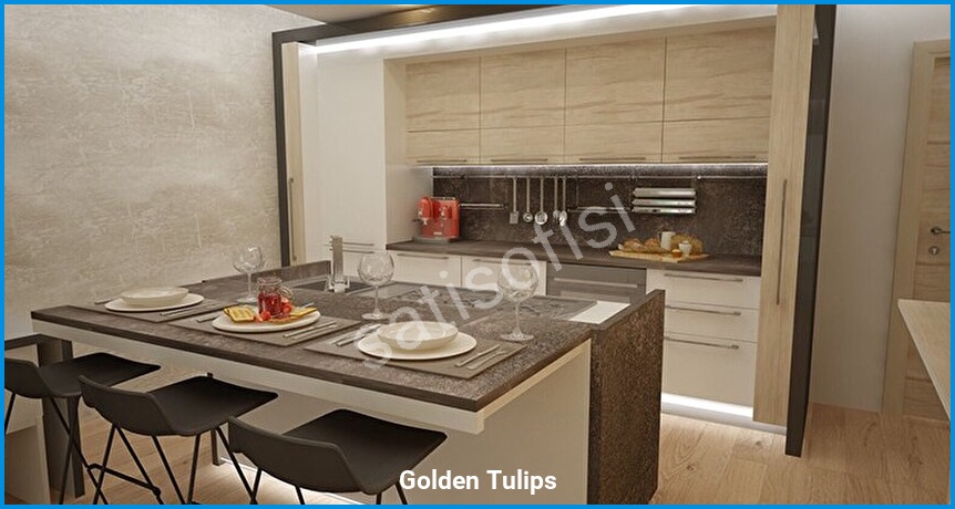 Golden Tulips görsel 5