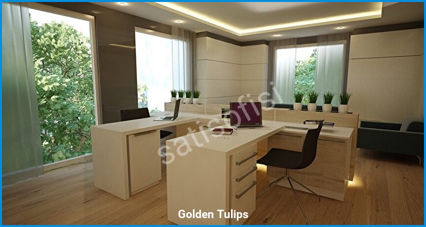 Golden Tulips görsel 7