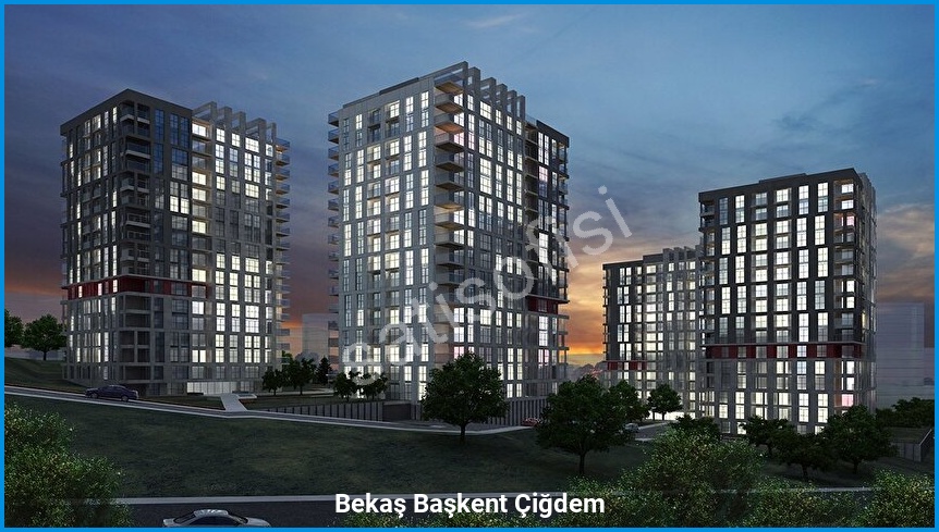 Bekaş Başkent Çiğdem - Proje Görseli 2