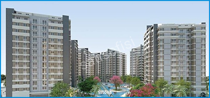 İstova görsel 6