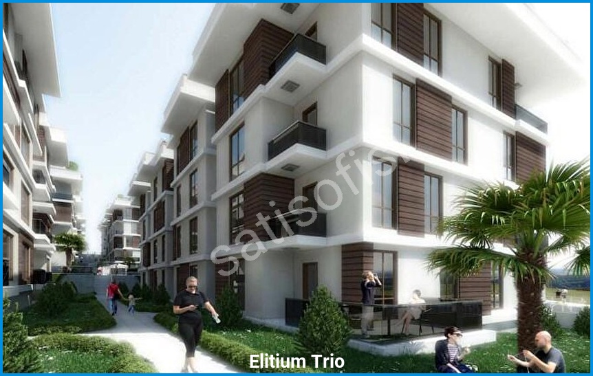 Elitium Trio 5