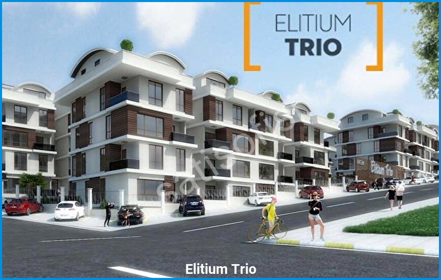 Elitium Trio 6