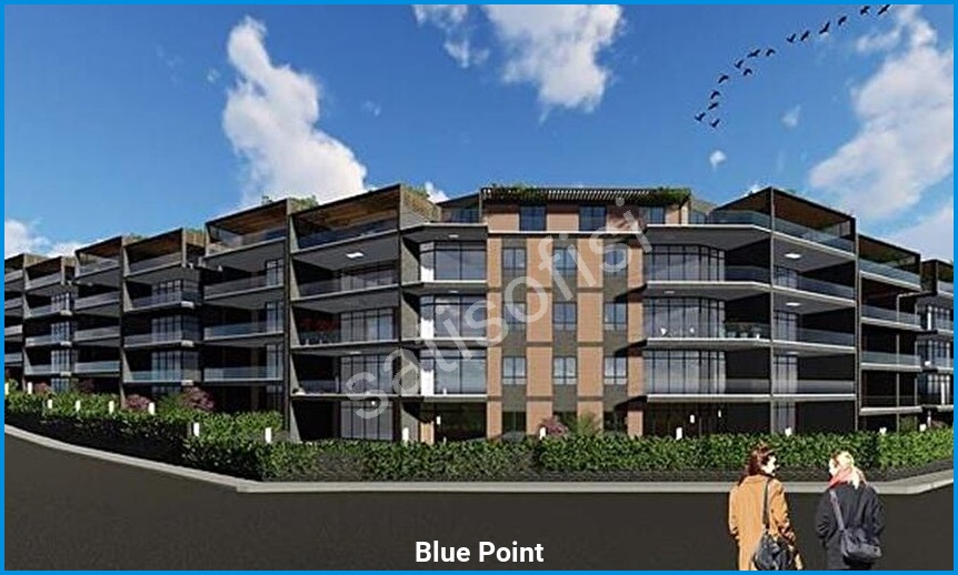Blue Point görsel 2