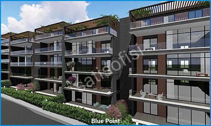Blue Point görsel 3