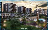 Balat İnci