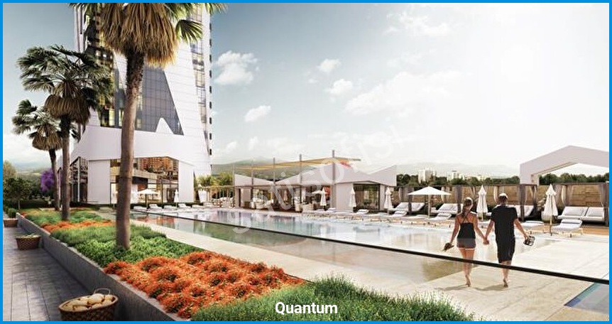 Quantum 10