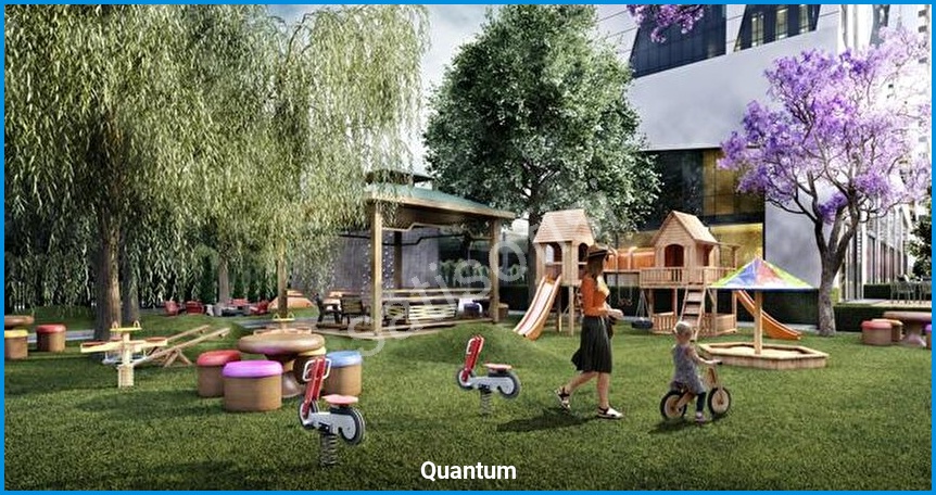 Quantum 11