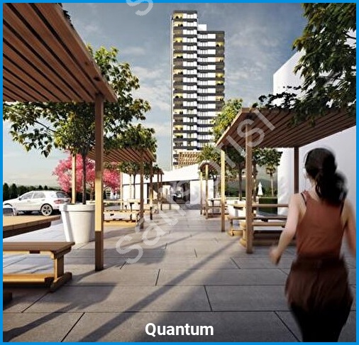 Quantum 12