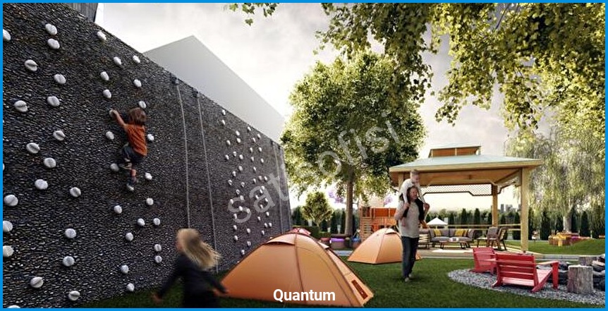 Quantum 6