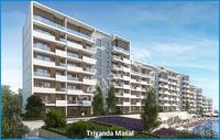 Triyanda Masal