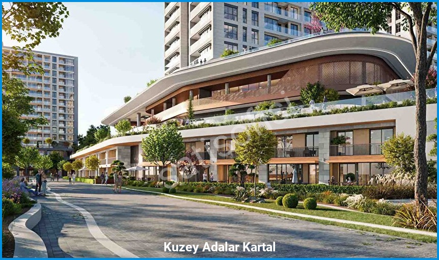 Kuzey Adalar Kartal 10