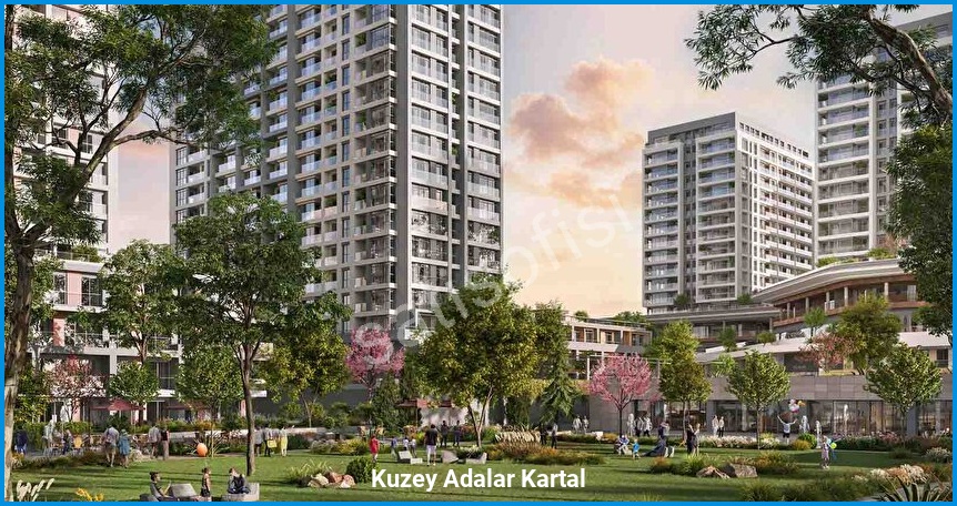 Kuzey Adalar Kartal 17