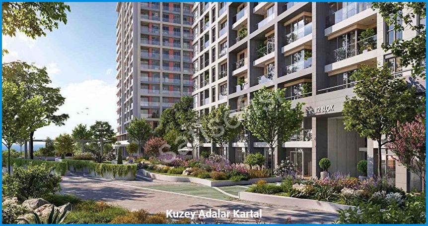 Kuzey Adalar Kartal 18