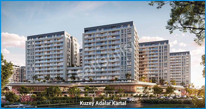 Kuzey Adalar Kartal 7