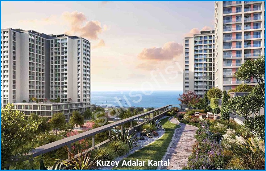 Kuzey Adalar Kartal 8