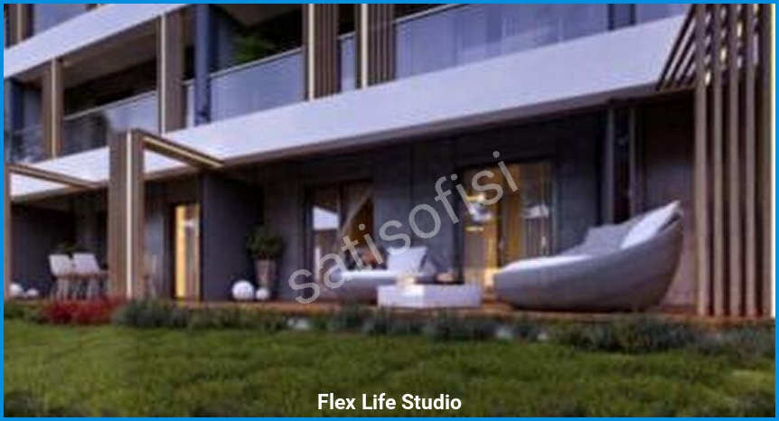 Flex Life Studio 3