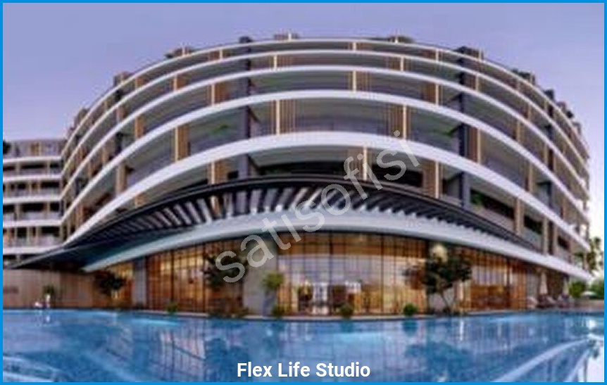 Flex Life Studio 4