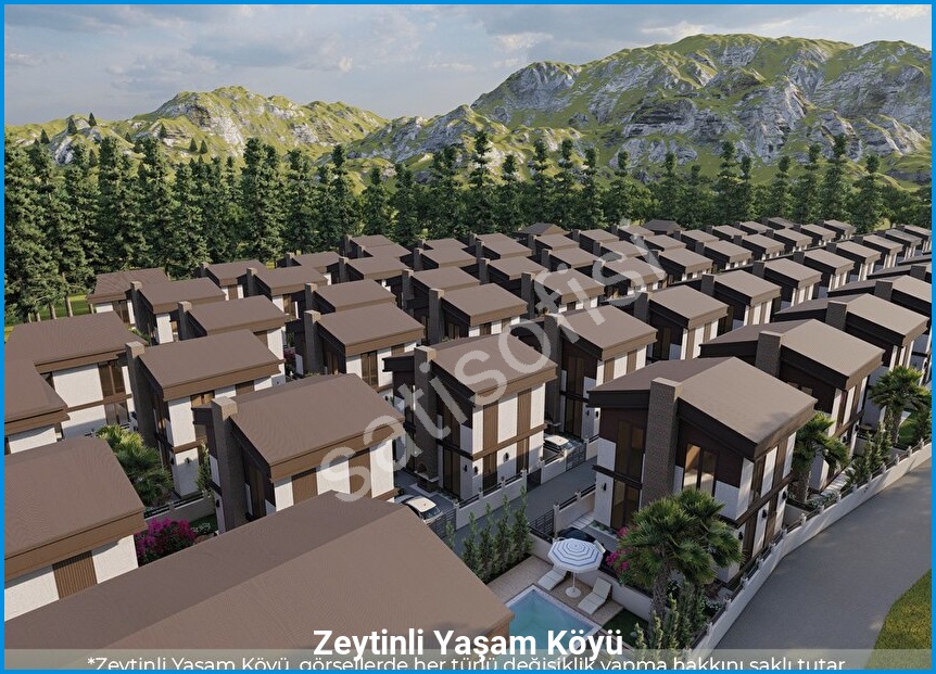 Zeytinli Yaşam Köyü — görsel