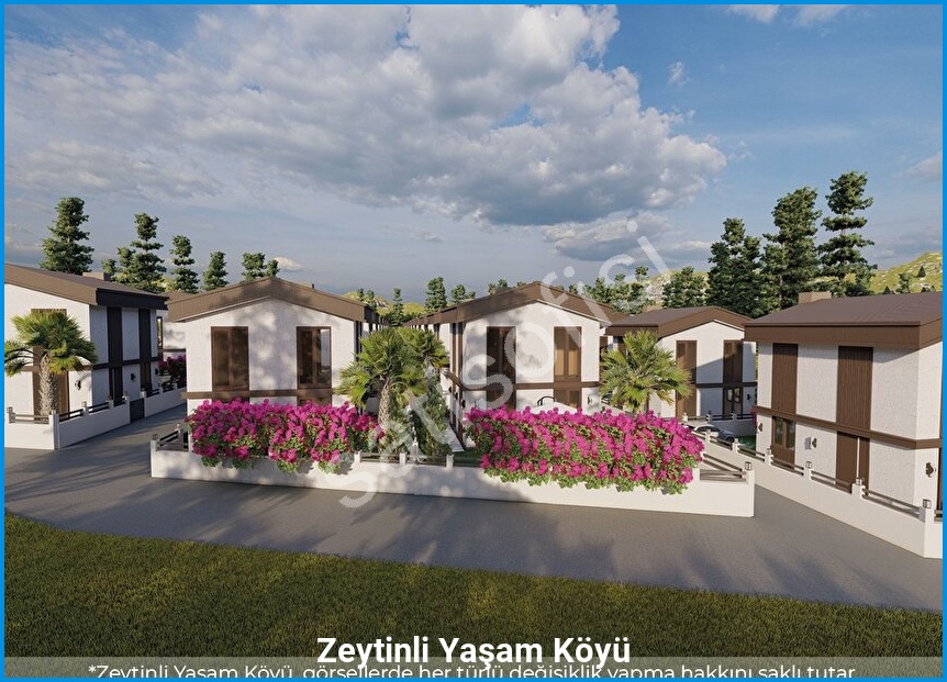 Zeytinli Yaşam Köyü — görsel