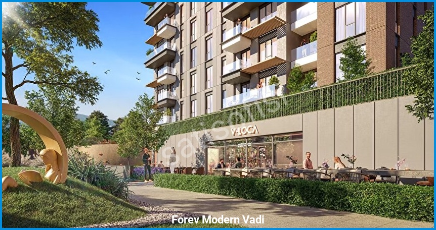 Forev Modern Vadi 2