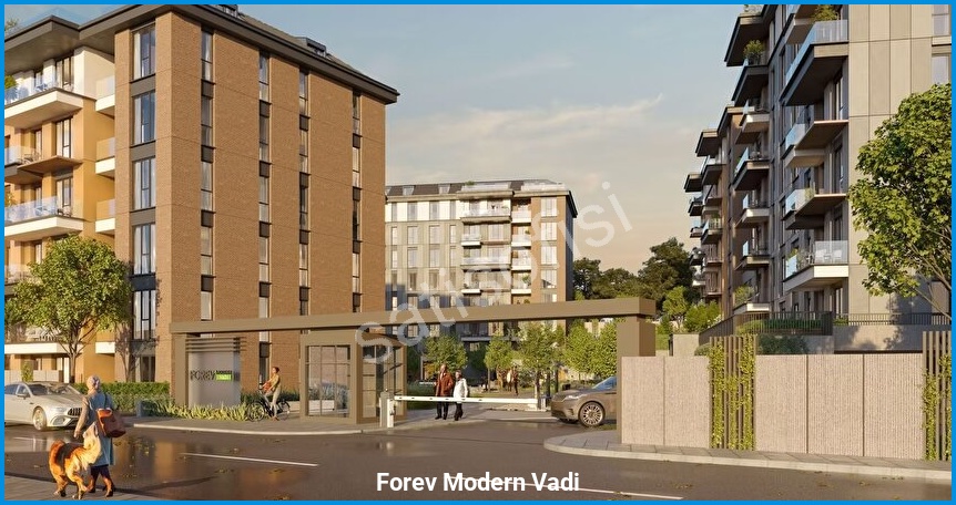 Forev Modern Vadi 3