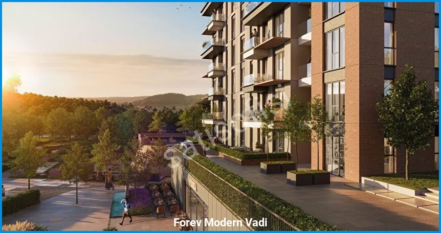 Forev Modern Vadi 9