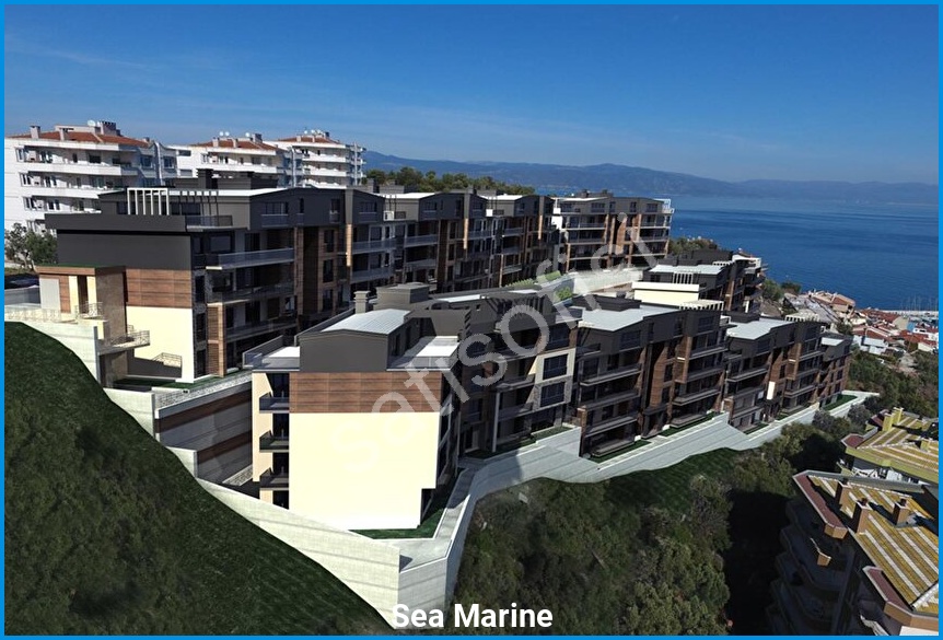 Sea Marine 3