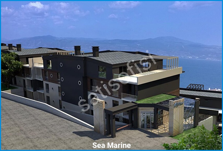 Sea Marine 7